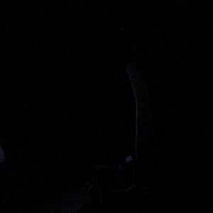 Meet your Posher, Evan